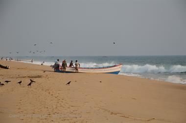 Fishing fleet, Chowara Beach,_DSC_9621_H600